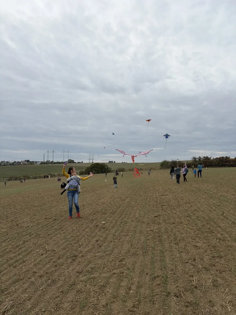 1792061535_IMG-2796