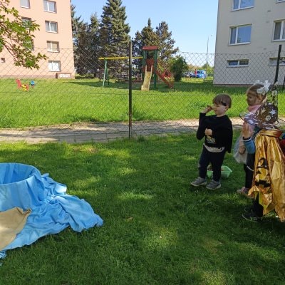 image-24676