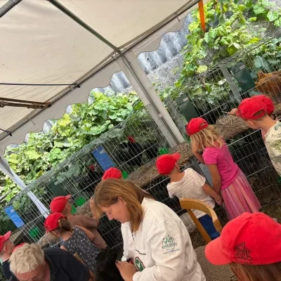 image-33021